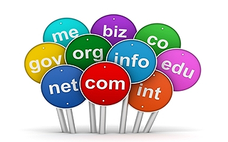 Domain Name Registration