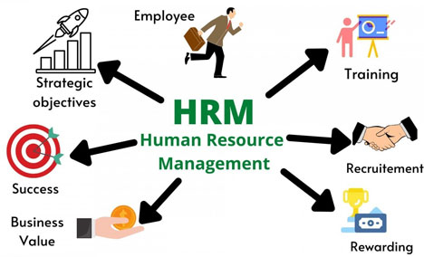 HR Management Solutions