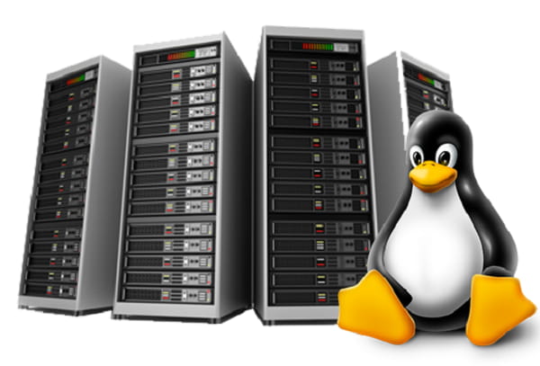 Linux Web Hosting