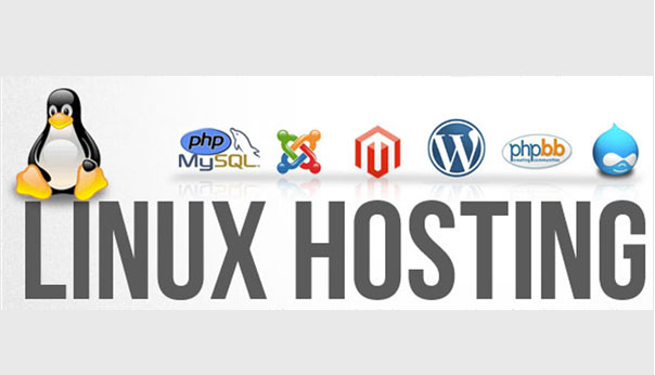 Linux Web Hosting