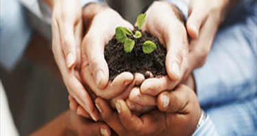 NGO Trusts