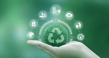Waste Management
