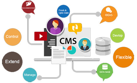 Website With CMS