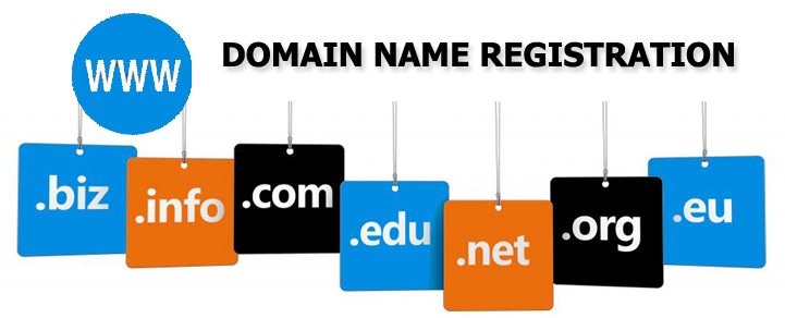 Domain Name Registration